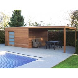 Abri de Jardin Moderne Bois Composite WPC - Gardival & Tack